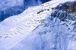 Lawinenanbuch neben der Verbauung Schweifinen, Zermatt (VS), am 25. Februar 1999 (Foto: Stefan Margreth / SLF)