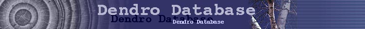 Dendro Database