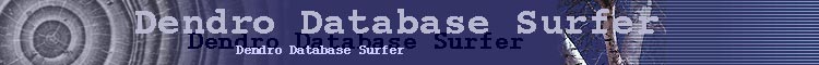 Dendro Database Surfer