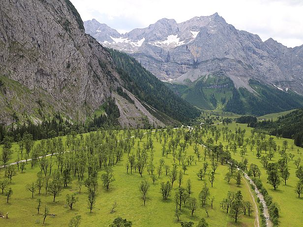 Dieses Bild zeigt eine Luftaufnahme des Grossen Ahornbodens im Karwendelgebirge (Tirol, Österreich)