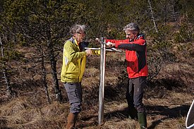Luca Bragazza und Alexandre Buttler extrahieren einen Bodenkern in einem Hochmoor in Frasne (Frankreich). Bild: Gottardo Pestalozzi, WSL