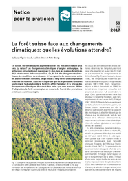 La forêt suisse face aux changements climatiques: quelles évolutions attendre?