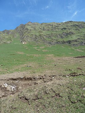 Grasbewachsener Berghang mit steinigen Abschnitten unter blauem Himmel, Bodenuntersuchungsspuren im Vordergrund