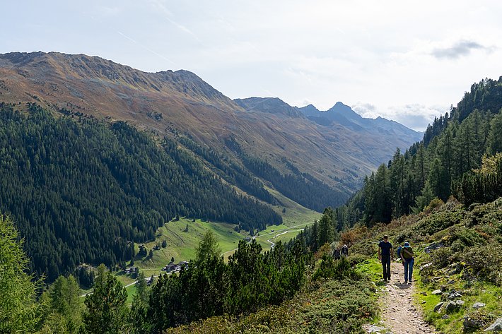 Zwei Personen wandern auf einem Pfad durch eine bewaldete Berglandschaft mit grünen Wiesen und Bergen im Hintergrund.