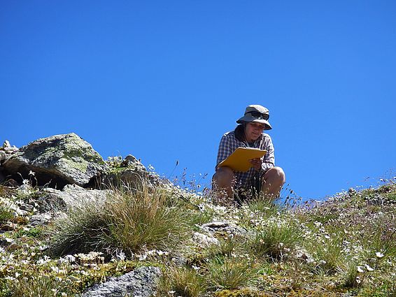 Das Bild zeigt die Forscherin Sonja Wipf. Sie ist Mitarbeiterin der Forschungsgruppe Gebirgsökosysteme und Mitautorin der Studie. Hier befindet sie sich auf dem Gipfel des Berges Mot dal Gajer im Engadin / Graubünden / Schweiz. In der Hocke sitzend notiert sie auf ihrem Klemmbrett die verschiedenen Pflanzenarten der blühenden alpinen Pflanzendecke vor ihr. Im Hintergrund sieht man den blauen Himmel. Es ist ein sonniger Tag. 