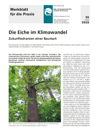 Die Eiche im Klimawandel. Zukunftschancen einer Baumart