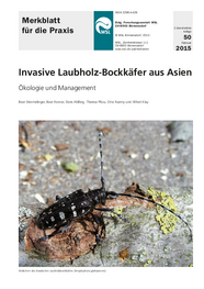 Invasive Laubholz-Bockkäfer aus Asien