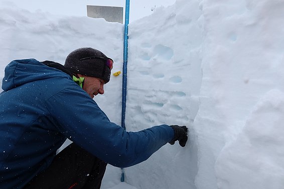 Person in blauer Jacke und schwarzer Mütze untersucht einzelne Schichten in einer aufgeschaufelten Schneedecke.