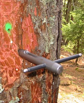 Taking a microcore sample using a special device called a Trephor.