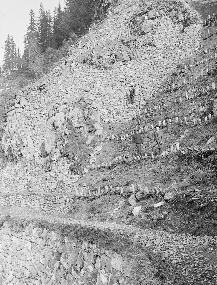 A steep slope with several workers standing on it. Several walls of timber piling can be seen on the slope.