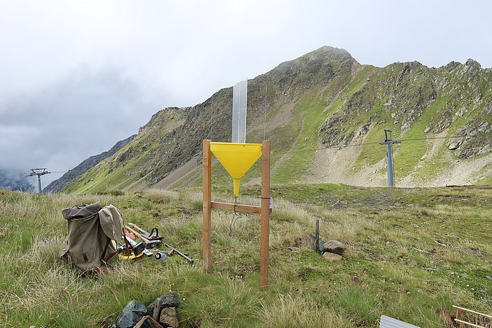 Fertig! (Foto: Jochen Bettzieche / SLF)