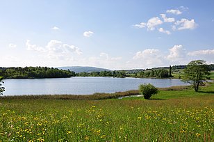 Blick auf den Oberen Katzensee mit Wiesen im Vordergrund und bewaldeten Hügeln im Hintergrund unter blauem Himmel