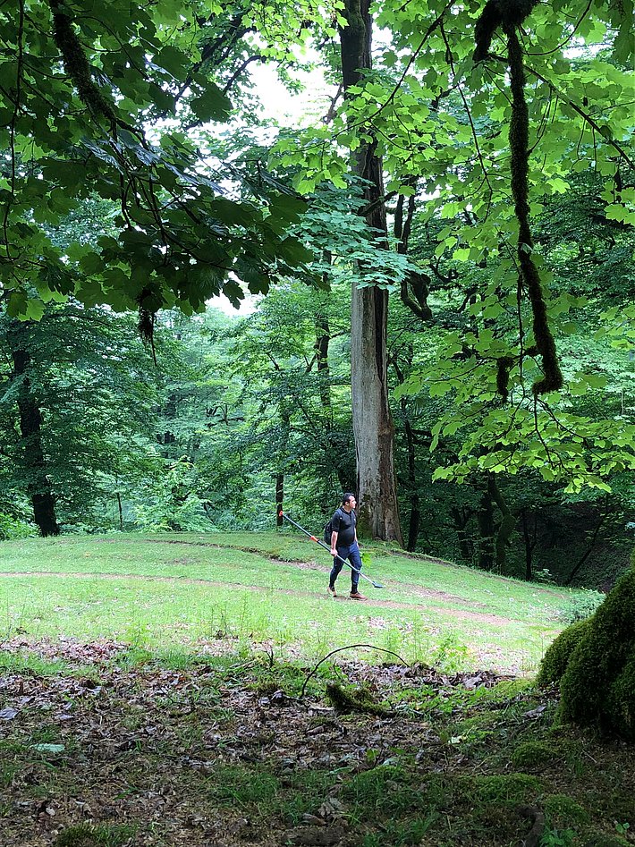 A person walks along a grassy path in a lush green forest, surrounded by tall trees. The scene conveys a sense of tranquility and connection with nature.