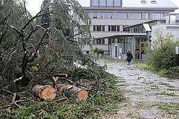 Foto: Gilbert Projer, WSL