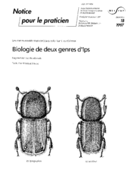 Biologie de deux genres d'Ips