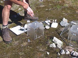 Measurement of greenhouse gas emissions (CO2, NO2, CH4) to determine soil activity depending on different climatic conditions. Photo: Beat Frey (WSL)