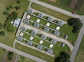 Die Modell-Ökosystemanlage (MODOEK) auf dem WSL-Areal besteht aus 16 Glaskammern, die gezielt bewässert werden können. (Foto: Ruedi Bösch/WSL)