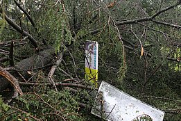 Foto: Gilbert Projer, WSL