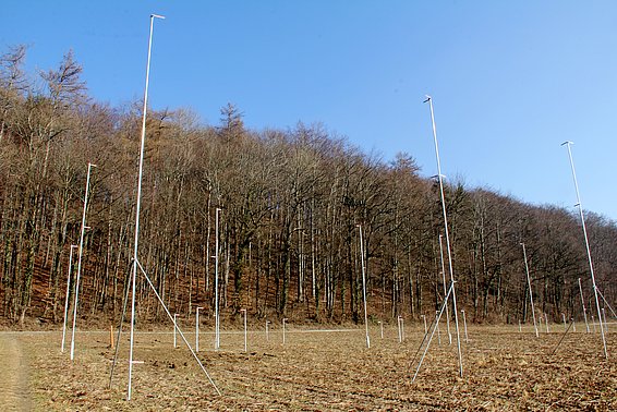 Lo sfruttamento di nuovi terreni fa a fette spazi vitali ancora incontaminati.