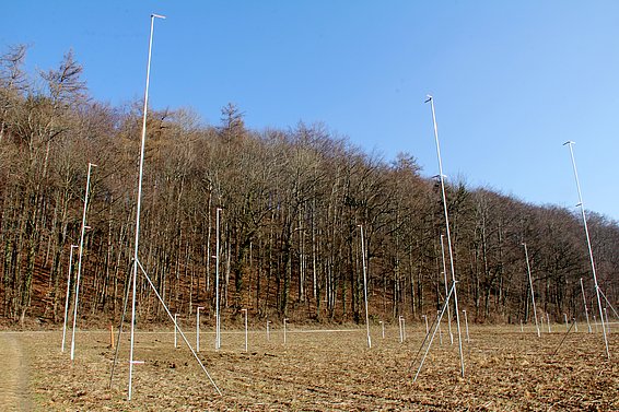 La construction de nouveaux terrains fractionne des biotopes encore vierges.