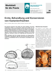 Ernte, Behandlung und Konservieren von Kastanienfrüchten