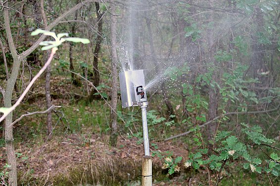Während April-Oktober werden einzelne Parzellen zusätzlich bewässert.