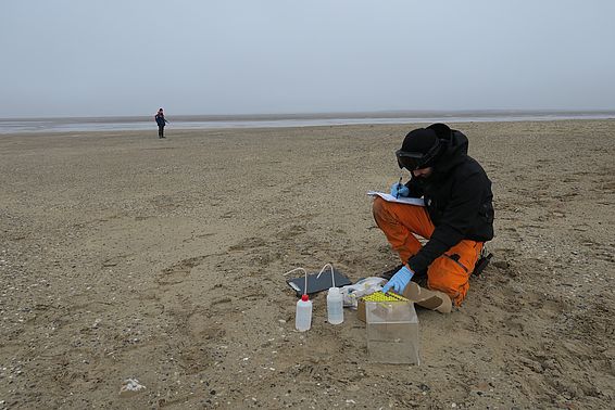Feldarbeit in der polaren Wüste von Komsomolez-Insel, Severnaja Semlja. Foto: Peter Ryan.