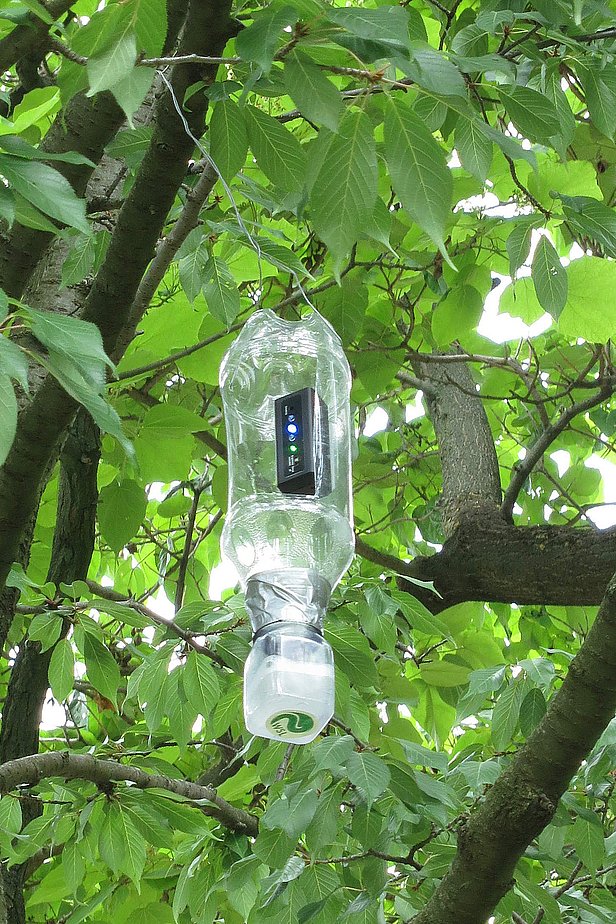 Mit solchen Lichtfallen werden nachtfliegende Insekten gefangen. Foto: Martin Obrist, WSL