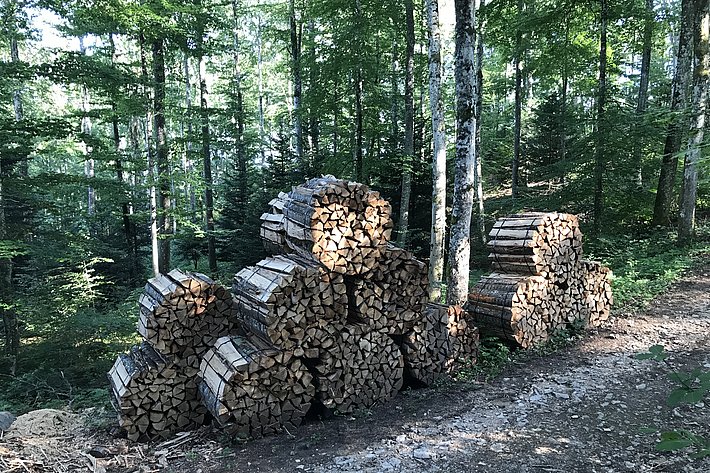 Laubmischwald bei Aarau im Schweizer Jura 