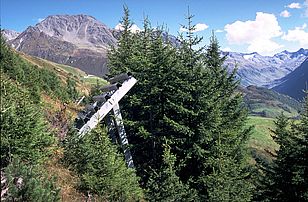 Rottenaufforstung Kirchberg/Andermatt (1957-1970): Kollektivdurchmesser 4 Meter mit Fichten im Pflanzabstand von 0.7 Meter