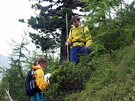 Due persone con giacche gialle effettuano misurazioni su un pendio boscoso, una tiene in mano una mappa, l'altra un mietro piegabile.