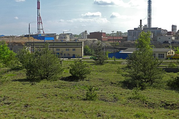 Die Böden rings um Blei- und Zinkminen, wie hier in Olkusz-Boleslaw in der Woiwodschaft Kleinpolen, Polen, sind massiv mit Schwermetallen verseucht. (Foto: Pierre Vollenweider, WSL)