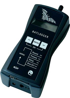 Der BATLOGGER, ein Aufnahmegerät für Fledermausrufe.