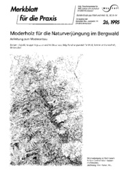 Moderholz für die Naturverjüngung im Bergwald