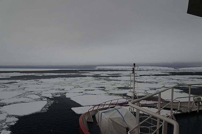 Beim Verlassen der Küstenregion quert das Schiff Meereis. Das Eis ist nie sehr kompakt, für das Schiff wohl keine schwere Arbeit. Trotzdem ist es spannend zu sehen, wie die Eisplatten weggedrückt werden.