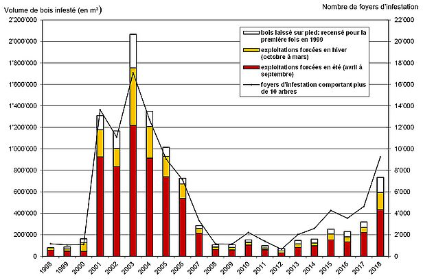 Typographe : volume de bois infesté et nombre de foyers d’infestation en Suisse de 1998 à 2018. (Copyright: WSL)