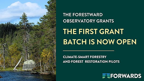 Bild der Projektauschreibung FORWARDS