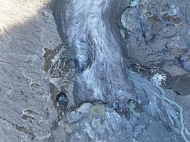 Das Bild zeigt eine blaugraue Gletscherzunge aus der Nähe, es fliesst ein blauer Bach heraus. 