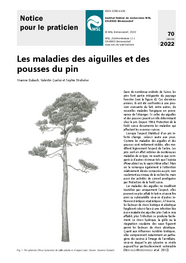 Les maladies des aiguilles et des pousses du pin