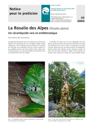 La Rosalie des Alpes