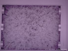 Abbildung 4: Nahinfrarot-Bild (NIR) des Bodens eines abgeflossenen Schmelztümpels. Foto: A. Macfarlane