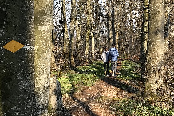 Junge Leute während des Lockdowns bei einer Waldwanderung