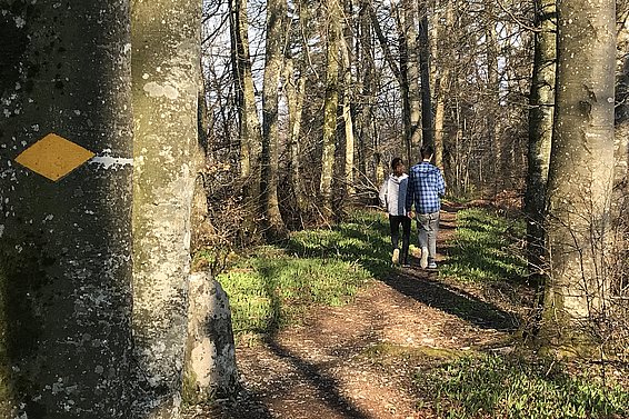 Durante il lockdown, lo “stress da densità” ha riguardato tutt’al più solo i boschi decisamente vicini alle città