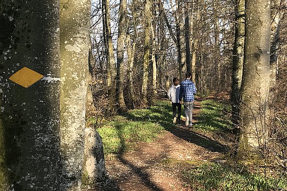 Pendant le confinement, un afflux stressant en forêt a tout au plus été constaté dans les forêts très proches des villes.