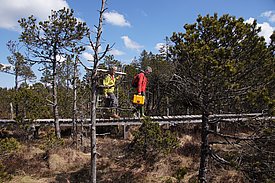 Luca Bragazza and Alexandre Buttler im Hochmoor von Frasne (Frankriech). Bild: Gottardo Pestalozzi, WSL
