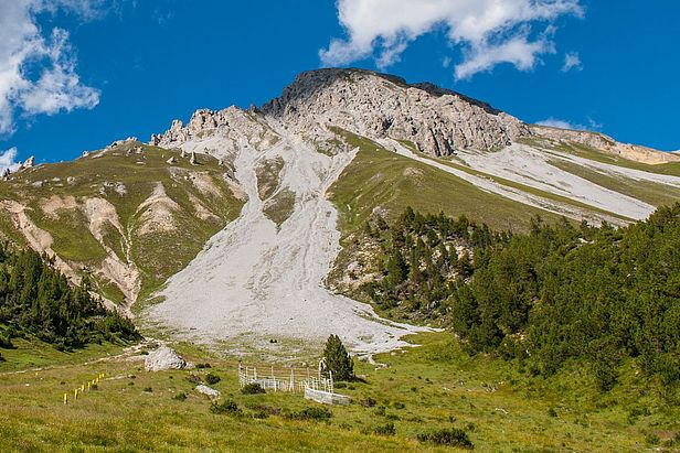 Bergweide im Schweizerischen Nationalpark mit einem der experimentellen Zäune.