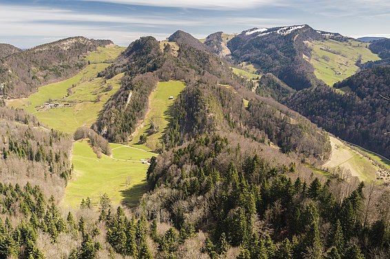 Der grösste Teil der Schweizer Waldfläche befindet sich in Hanglagen wie hier im Solothurner Jura. Je steiler die Hangneigung ist, desto aufwändiger ist die Waldbewirtschaftung.