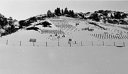 Schwarz-weiße Aufnahme von mehreren Holzgerüsten auf schneebedecktem Hang mit Terrassen im Hintergrund