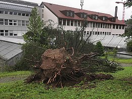 Foto: Doris Hölling