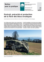 Portrait, précarité et protection de la flore des blocs erratiques